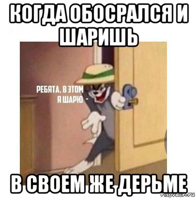 когда обосрался и шаришь в своем же дерьме, Мем Ребята я в этом шарю