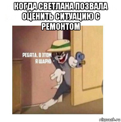 когда светлана позвала оценить ситуацию с ремонтом , Мем Ребята я в этом шарю