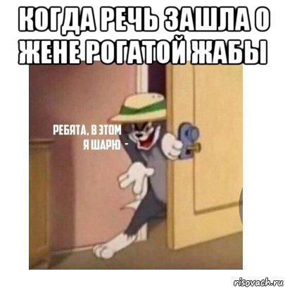 когда речь зашла о жене рогатой жабы , Мем Ребята я в этом шарю