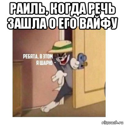 раиль, когда речь зашла о его вайфу , Мем Ребята я в этом шарю