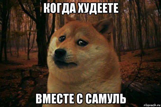 когда худеете вместе с самуль, Мем SAD DOGE