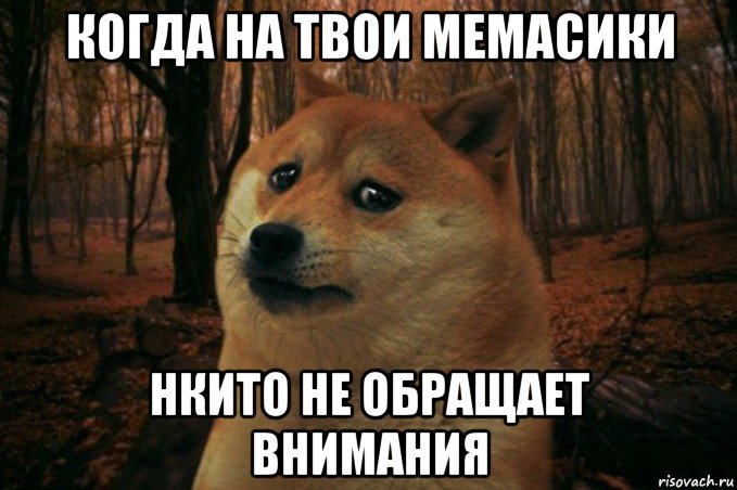 когда на твои мемасики нкито не обращает внимания, Мем SAD DOGE