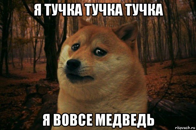 я тучка тучка тучка я вовсе медведь, Мем SAD DOGE