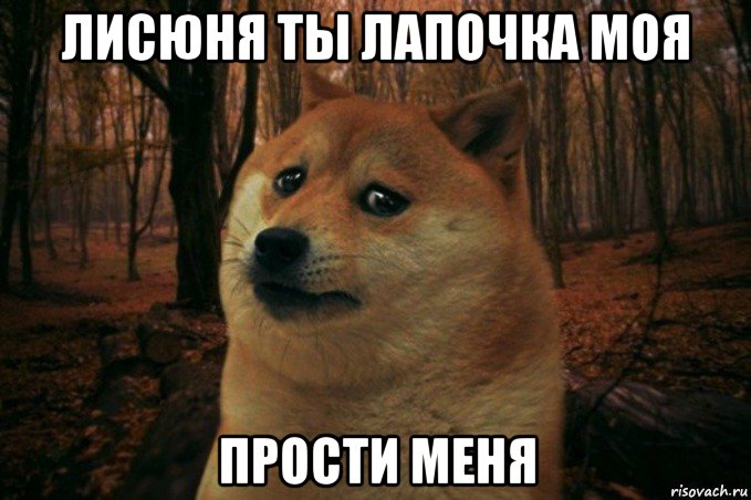 лисюня ты лапочка моя прости меня, Мем SAD DOGE