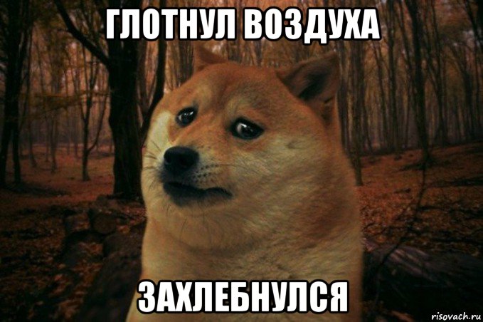 глотнул воздуха захлебнулся, Мем SAD DOGE