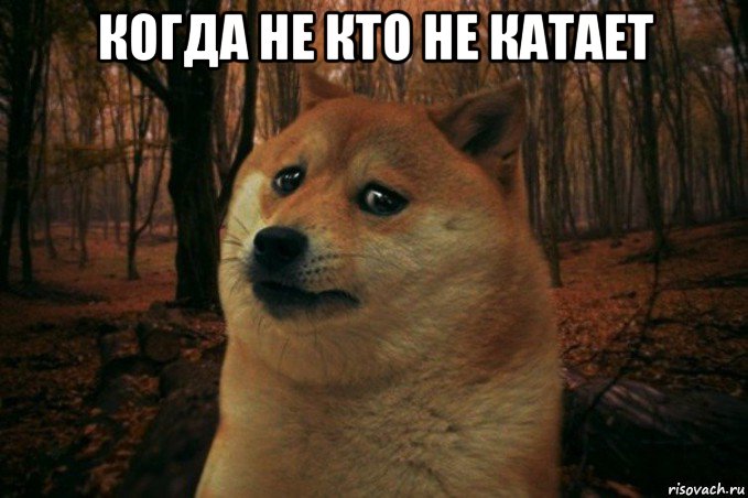 когда не кто не катает , Мем SAD DOGE