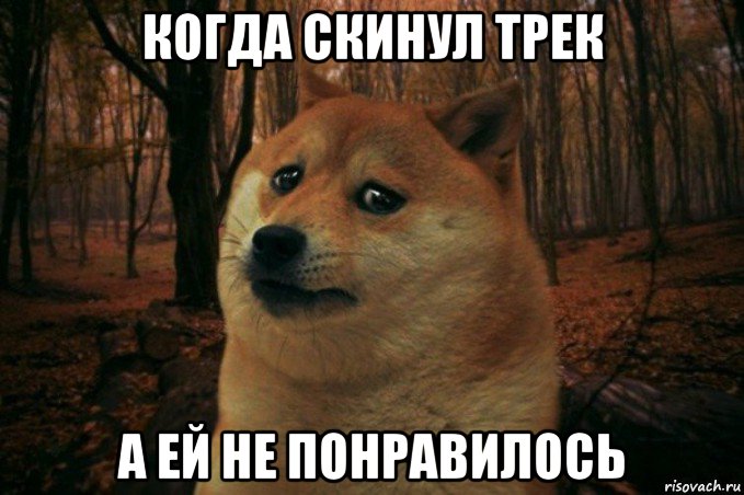 когда скинул трек а ей не понравилось, Мем SAD DOGE