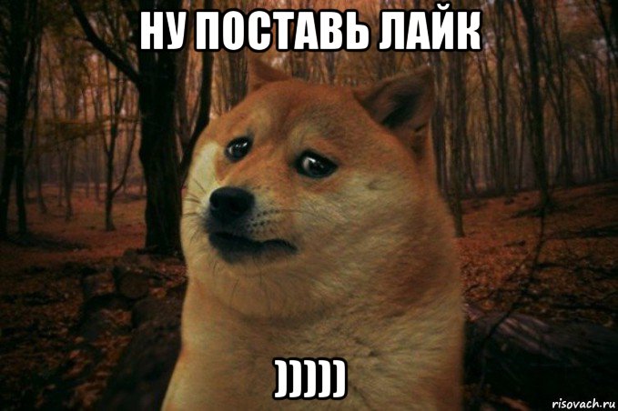 ну поставь лайк ))))), Мем SAD DOGE