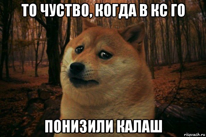 то чуство, когда в кс го понизили калаш, Мем SAD DOGE