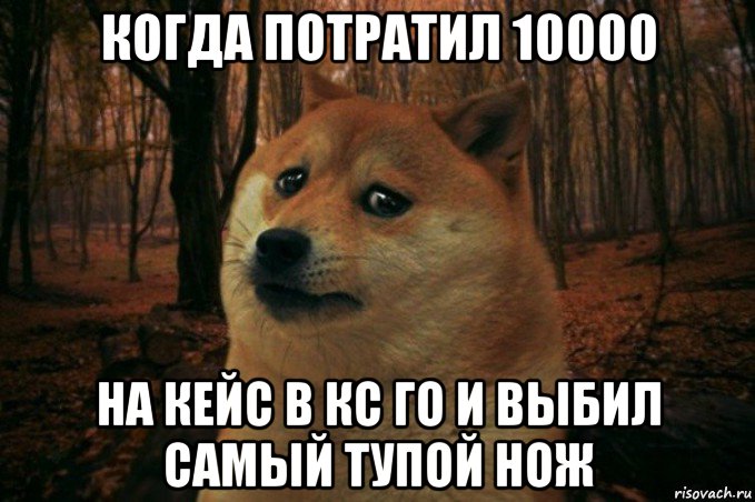 когда потратил 10000 на кейс в кс го и выбил самый тупой нож, Мем SAD DOGE