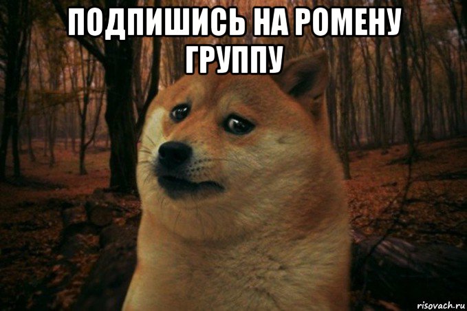 подпишись на ромену группу , Мем SAD DOGE