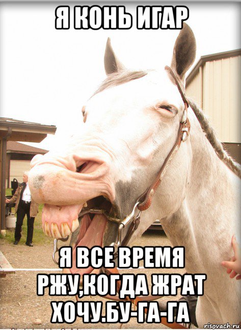я конь игар я все время ржу,когда жрат хочу.бу-га-га