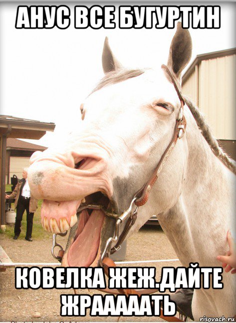 анус все бугуртин ковелка жеж.дайте жрааааать