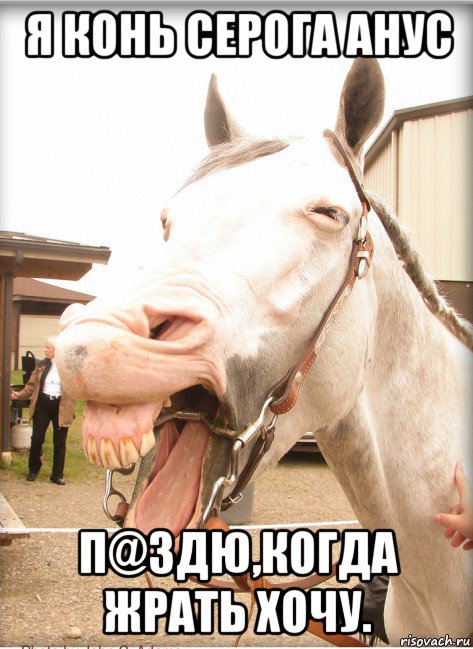 я конь серога анус п@здю,когда жрать хочу.