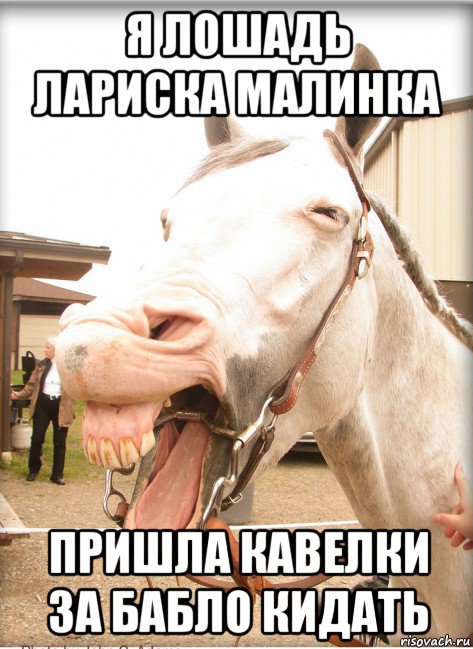 я лошадь лариска малинка пришла кавелки за бабло кидать