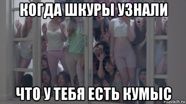 когда шкуры узнали что у тебя есть кумыс, Мем Шкуры узнали