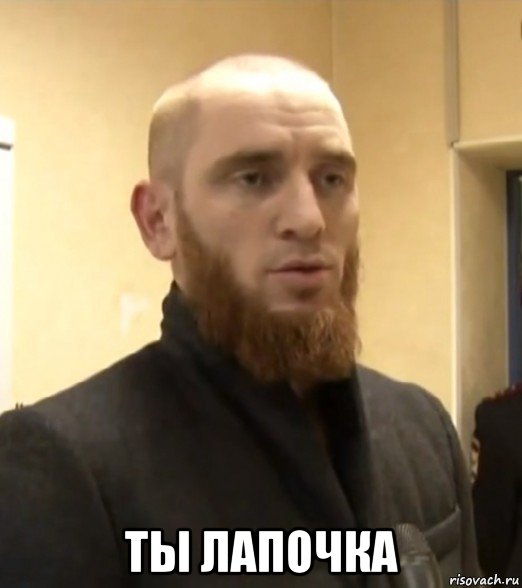  ты лапочка