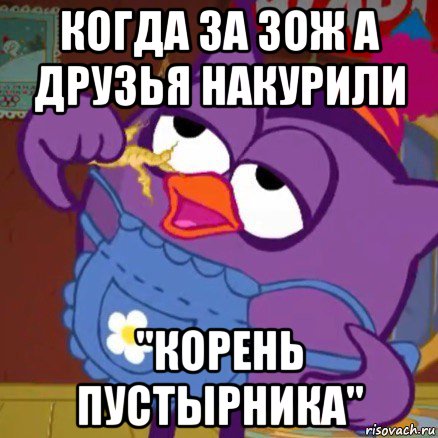 когда за зож а друзья накурили "корень пустырника"