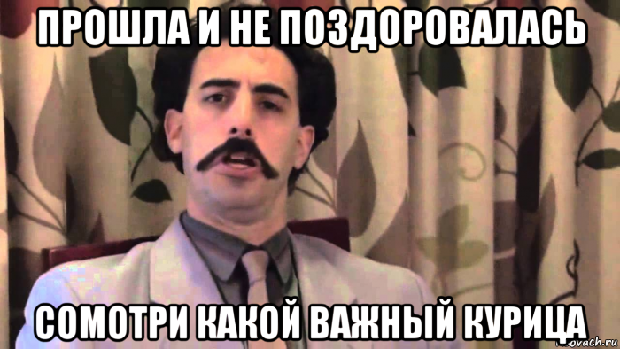 прошла и не поздоровалась сомотри какой важный курица