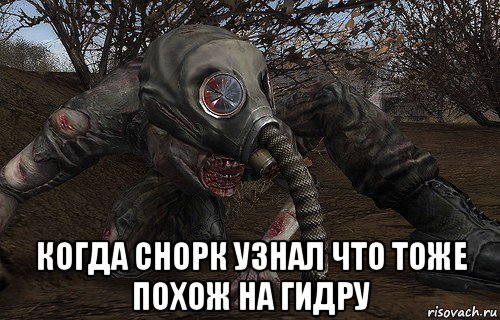  когда снорк узнал что тоже похож на гидру
