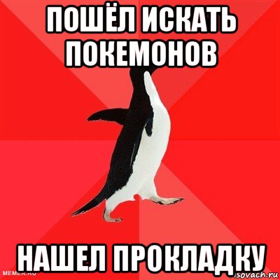пошёл искать покемонов нашел прокладку, Мем  социально-агрессивный пингвин