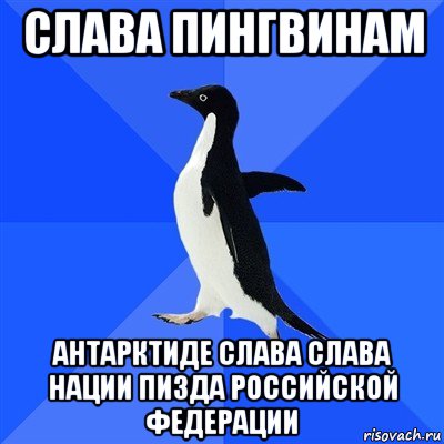 слава пингвинам антарктиде слава слава нации пизда российской федерации, Мем  Социально-неуклюжий пингвин