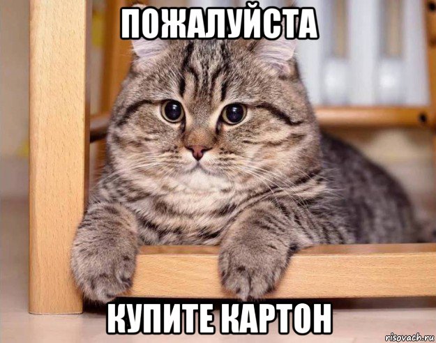 пожалуйста купите картон