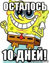 осталось 10 дней!, Мем спанч боб