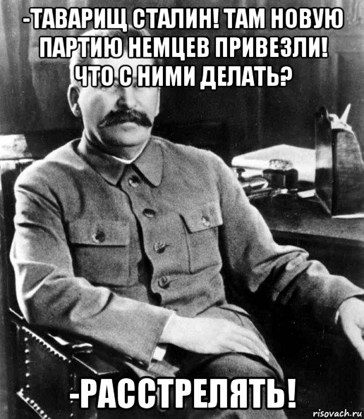 -таварищ сталин! там новую партию немцев привезли! что с ними делать? -расстрелять!, Мем  иосиф сталин