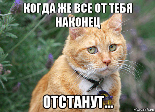 когда же все от тебя наконец отстанут...