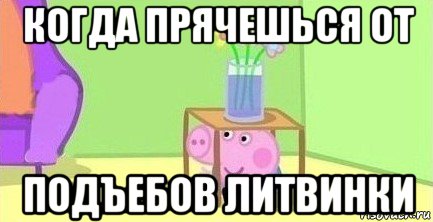 когда прячешься от подъебов литвинки