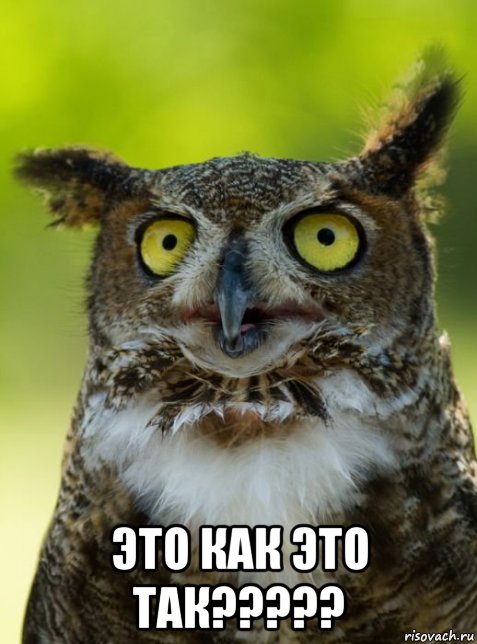  это как это так?????