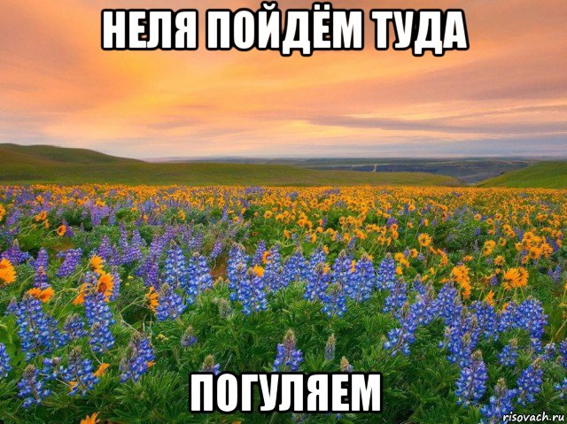 неля пойдём туда погуляем