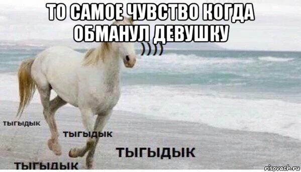 то самое чувство когда обманул девушку , Мем   Тыгыдык