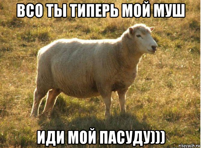 всо ты типерь мой муш иди мой пасуду))), Мем Типичная овца