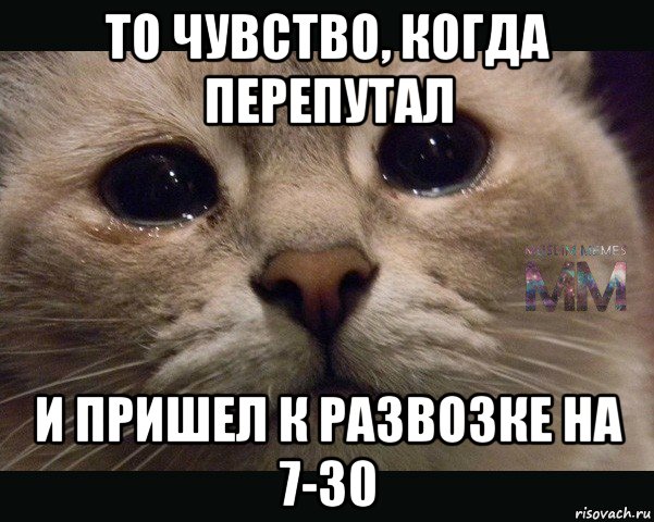 то чувство, когда перепутал и пришел к развозке на 7-30