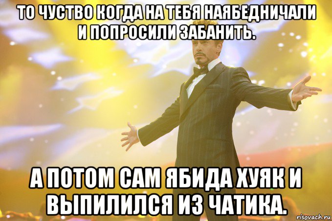 то чуство когда на тебя наябедничали и попросили забанить. а потом сам ябида хуяк и выпилился из чатика., Мем Тони Старк (Роберт Дауни младший)