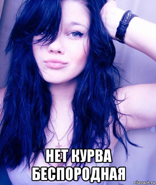  нет курва беспородная, Мем тупая пизда