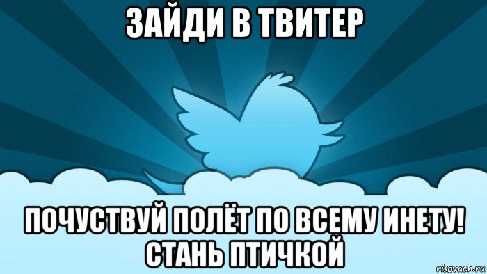 зайди в твитер почуствуй полёт по всему инету! стань птичкой, Мем    твиттер