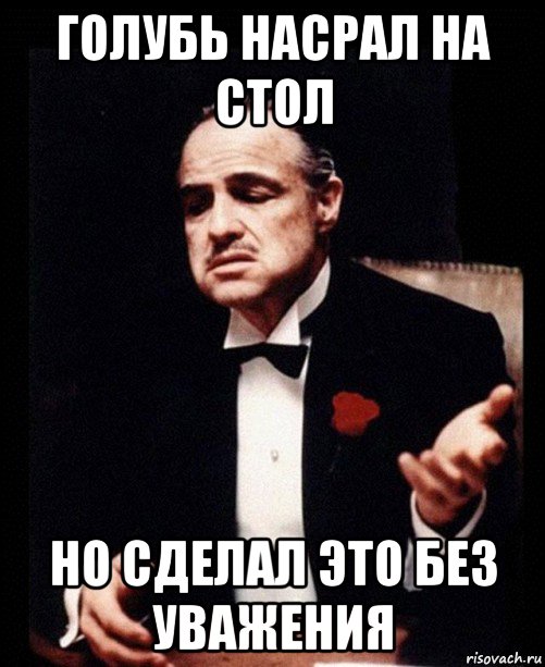 голубь насрал на стол но сделал это без уважения, Мем ты делаешь это без уважения