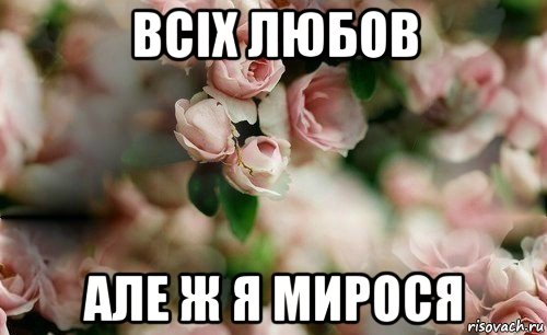 всіх любов але ж я мирося, Мем У ВСЕХ ЛЮБОВЬ А Я ДАША