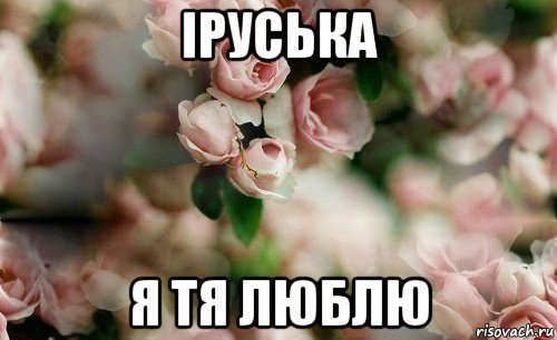 іруська я тя люблю, Мем У ВСЕХ ЛЮБОВЬ А Я ДАША