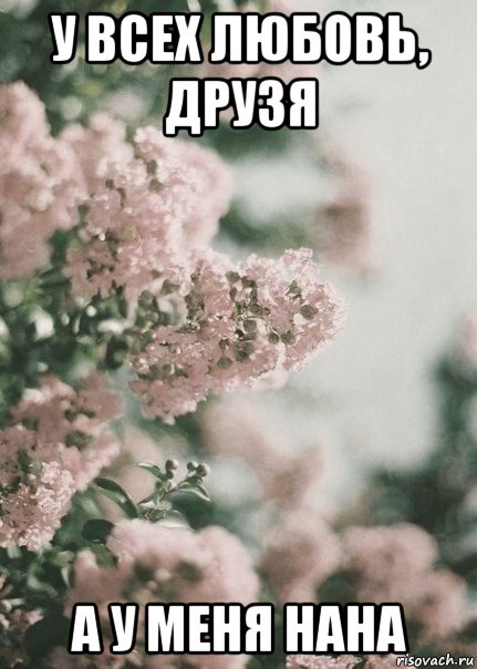 у всех любовь, друзя а у меня нана