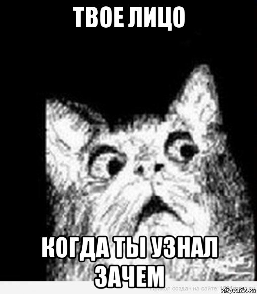 твое лицо когда ты узнал зачем