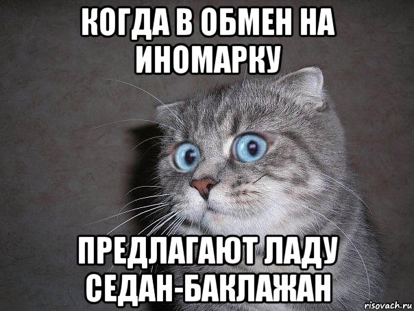 когда в обмен на иномарку предлагают ладу седан-баклажан, Мем  удивлённый кот