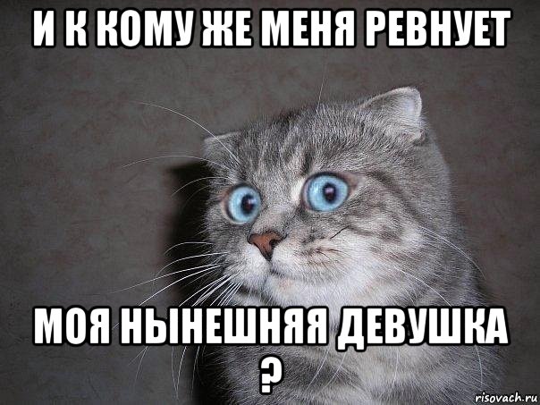 и к кому же меня ревнует моя нынешняя девушка ?, Мем  удивлённый кот