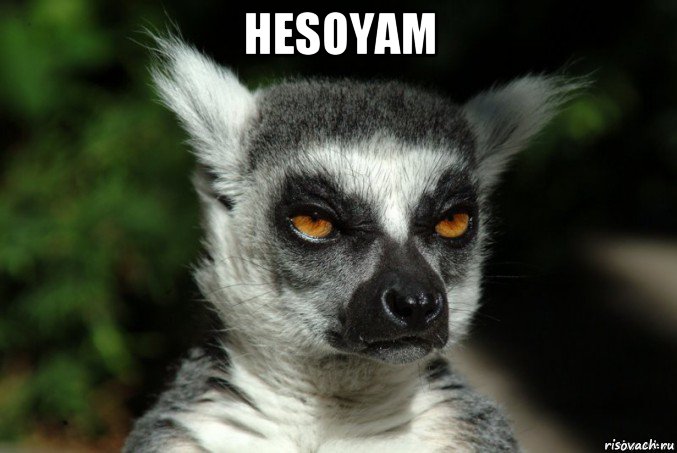 hesoyam , Мем   Я збагоен