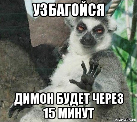 узбагойся димон будет через 15 минут