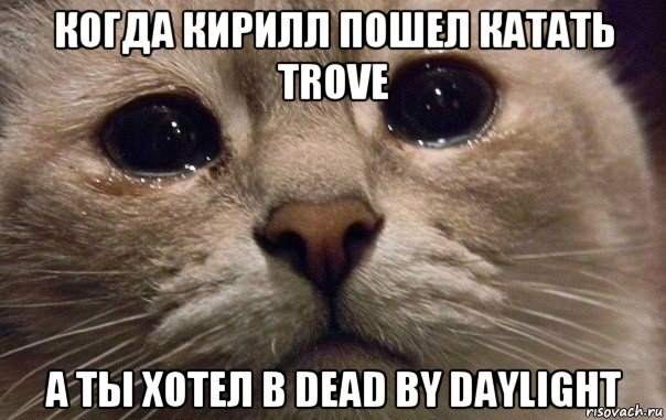 когда кирилл пошел катать trove а ты хотел в dead by daylight, Мем   В мире грустит один котик