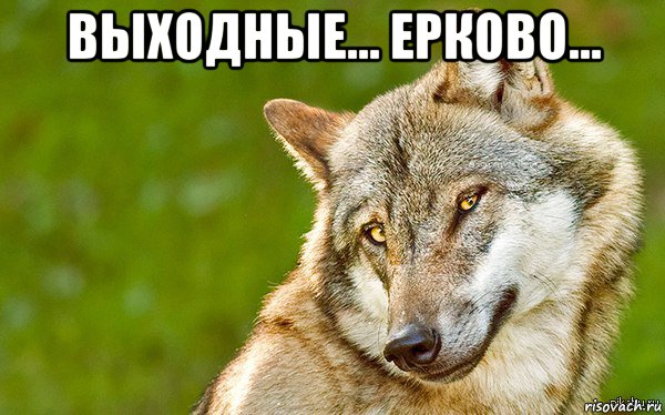 выходные... ерково... , Мем   Volf